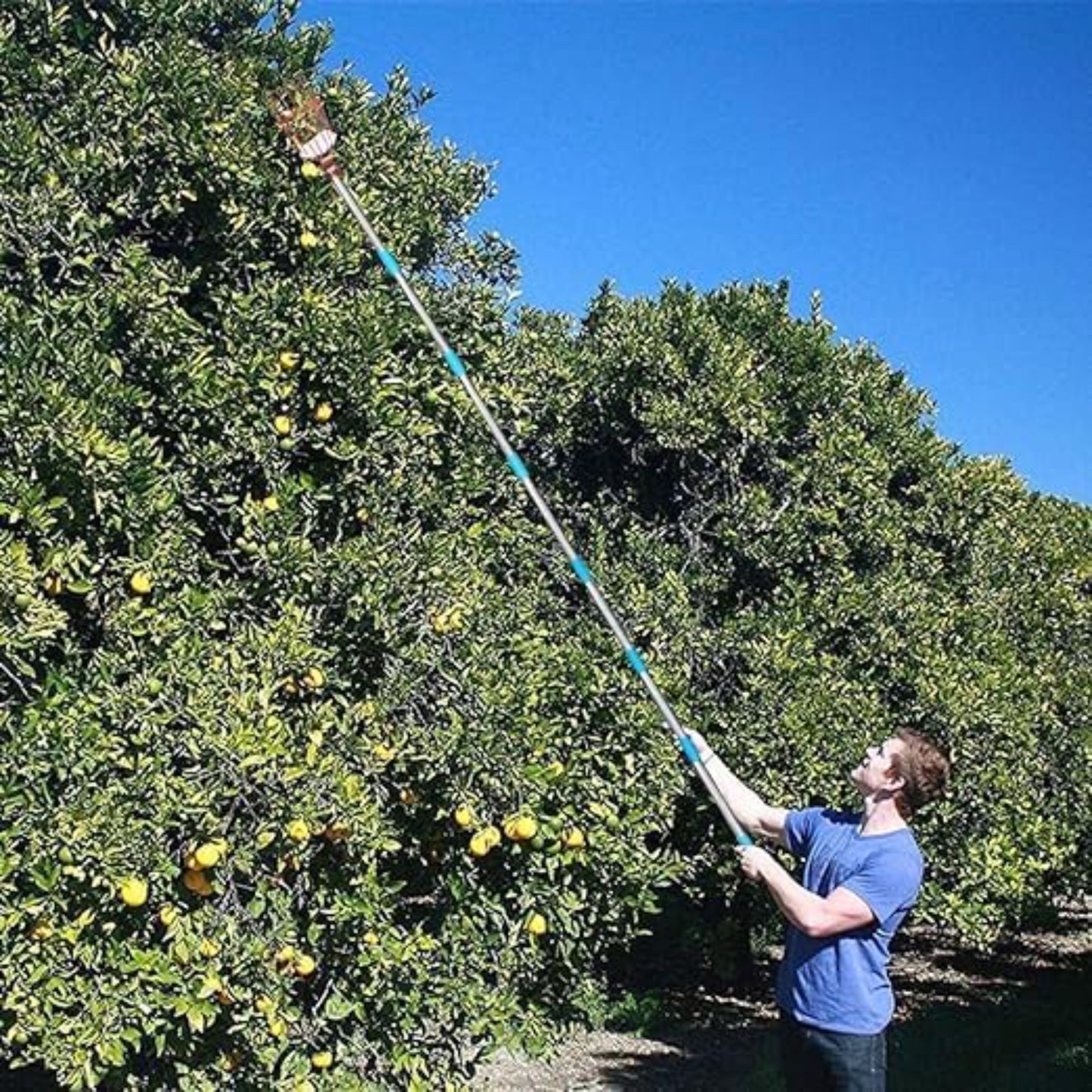 Extendable Stainless-Steel Picker Bundle (12-FT)